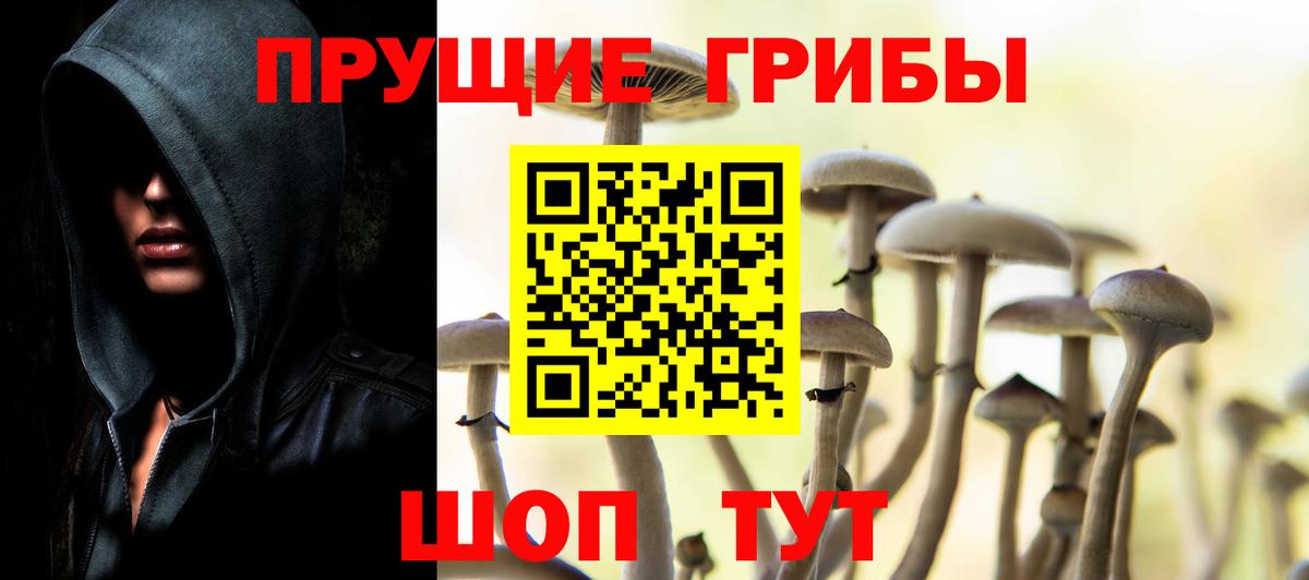 Псилоцибиновые грибы ЛСД  Вход с VPN  Псилоцибиновые грибы Magic Shrooms  Чехов 